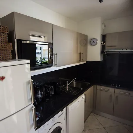 Appartement Le Parc Pointe Croisette Cannes