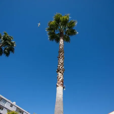 Le Parc Pointe Croisette Cannes
